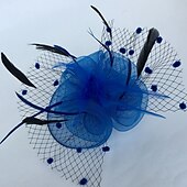 お買い得  ファシネーター-フェザー / ネットファシネーター ケンタッキーダービーハット / 鳥かごベール 1 枚付き 結婚式 / パーティー / イブニング / レディースデー ヘッドピース