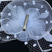 お買い得  ファシネーター-フェザー / ネットファシネーター ケンタッキーダービーハット / 鳥かごベール 1 枚付き 結婚式 / パーティー / イブニング / レディースデー ヘッドピース