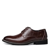 abordables Officiel-Homme Oxfords Chaussures derby Chaussures habillées Entreprise Classique du quotidien Bureau et carrière Soirée &amp; Evénement Cuir Preuve de l&#039;usure Lacet Noir Jaune Bleu Printemps Automne