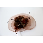 billige Coiffer-fascinators kentucky derby lue fjær / nett / tekstiler blomster / hodeplagg / hodeplagg med hette / blomster 1 stk bryllup / damedag hodeplagg