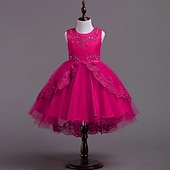 preiswerte Blumenmädchenkleider-kinderkleidung Mädchen Blumenmädchen Kleid Kleid Ärmellos Hochzeit Party Kuschelig Süß Baumwolle Polyester Asymmetrisch Tüll-Kleid Kleid mit vielen Schichten Blumenmädchenkleid Sommer Weiß Rosa Rote
