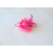 preiswerte Fascinator-Fascinators Kopfbedeckung Feder Netz Hochzeit Teeparty Pferderennen Damen Tag Cocktail Vintage Stil Elegant mit floralen Kopfschmuck Kopfbedeckung um zu beeindrucken Rennrenntag Kleid