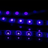 billiga USB Strip-lampor-led strip lampor 16.4ft 5m flexibel tiktok lampor uv svart ljus 395-405nm 2835 8mm led flexibel strip med 2a strömförsörjning för inomhus fluorescerande dansfest scenbelysning kroppsfärg