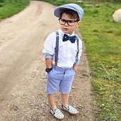 cheap Sets-Boys 3D Color Block Shirt &amp; Shorts Formal Set Long Sleeve Summer Active Basic Casual Cotton Spandex Kids Toddler School Party Regular Fit