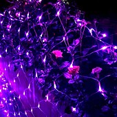 economico Plug in elettrico-luci nette a led 3m x 2m 200 luci nette a led luci per tende luci rete da pesca bianco caldo bianco blu multicolore albero di natale festa di decorazione della casa viola blu bianco caldo multi