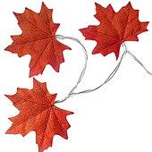 abordables Guirlandes lumineuses USB-Guirlande lumineuse de 3 m 20 leds 1 set blanc chaud créatif fête décorative alimentée par usb