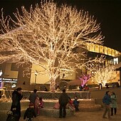 ieftine Conectat Electric-50m șir lumini, 400 led-uri alb cald, alb &amp;amp; lumini decorative albastre impermeabile pentru petrecerea de Craciun 24v