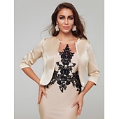 abordables enveloppes d&#039;invité de mariage-Écharpe à manches 3/4 en satin pour femme, tenue d&#039;automne pour mariage/fête/soirée, avec robe unie pour impressionner en 2025