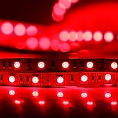 abordables Bandes lumineuses étanches-ZDM® 10m bandes lumineuses LED Ruban LED Flexibles 600 LED SMD5050 10mm 1pc Blanc Chaud Blanc Froid Rouge Découpable Design nouveau Décorative 12 V  Auto-Adhésives