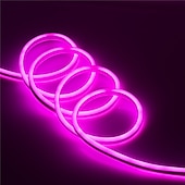 abordables Lampes néon led-Guirlande lumineuse LED en néon 5 m 16,4 pi, 12 V, flexible, étanche IP65, en silicone, idéale pour la chambre, la cuisine, la décoration intérieure/extérieure (adaptateur secteur non inclus)