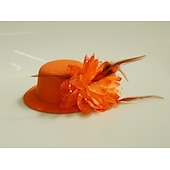 preiswerte Faszinator-Tüll-/Feder-Fascinators Kentucky Derby-Hut mit 1 Stück Kopfschmuck für Hochzeit/besondere Anlässe/Teeparty