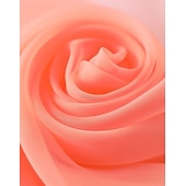 abordables Châles-châles femmes écharpes d&#039;invité de mariage écharpes pour femmes châles écharpes protection solaire sans manches imitation soie enveloppes de mariage avec couleur pure pour la fête printemps&amp;amp;