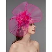 billige Coiffer-Blomst Fjær Net Fascinatorer Hatt Kentucky Derby Hodeplagg Trim 1 PC Hesteløp Damers Dag Hesteløp Elegant  Luksuriøs med Klips Hårbånd Hodeplagg å imponere Race Day Dress 2025