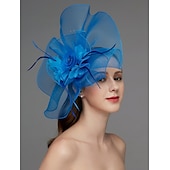 billige Coiffer-Blomst Fjær Net Fascinatorer Hatt Kentucky Derby Hodeplagg Trim 1 PC Hesteløp Damers Dag Hesteløp Elegant  Luksuriøs med Klips Hårbånd Hodeplagg å imponere Race Day Dress 2025