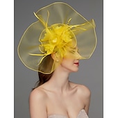 billige Coiffer-Blomst Fjær Net Fascinatorer Hatt Kentucky Derby Hodeplagg Trim 1 PC Hesteløp Damers Dag Hesteløp Elegant  Luksuriøs med Klips Hårbånd Hodeplagg å imponere Race Day Dress 2025