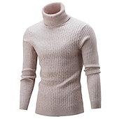 economico maglione pullover da uomo-Per uomo Felpa Maglione a collo alto Maglione Maglia Lavorato a maglia Intrecciato Tinta unica A collo alto Stile vintage Morbido Interni Giornaliero Abbigliamento Inverno Autunno Nero Vino S M L