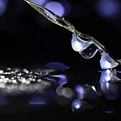 ieftine Acumulatoare-nuntă elegantă petrecere de recepție 10 m șir lumini 100 led fire rezistente la apă zâne șir lumini 4 buc 2 buc 1 buc pentru Crăciun nuntă acasă vacanță cameră de petrecere decor în aer liber alb