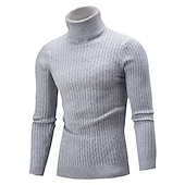 economico maglione pullover da uomo-Per uomo Felpa Maglione a collo alto Maglione Maglia Lavorato a maglia Intrecciato Tinta unica A collo alto Stile vintage Morbido Interni Giornaliero Abbigliamento Inverno Autunno Nero Vino S M L
