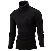 economico maglione pullover da uomo-Per uomo Felpa Maglione a collo alto Maglione Maglia Lavorato a maglia Intrecciato Tinta unica A collo alto Stile vintage Morbido Interni Giornaliero Abbigliamento Inverno Autunno Nero Vino S M L