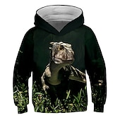 billiga Pojkens 3D-djur-Pojkar 3D Grafisk 3D-utskrift Huvtröja och sweatshirt Pullover Långärmad 3D-tryck Aktiv Streetwear Barn Småbarn 3-12 år