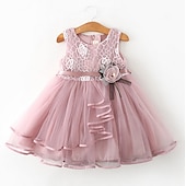 cheap Fairytale Theme Dresses-Kids Little Girls&#039; Dress Flower Swing Dress Party Birthday Daily Lace Ruffle Mesh Green White Pink Sleeveless Cute Princess Sweet Dresses Spring Summer 2-6 Years