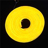 abordables Lampes néon led-5m 16.4ft néon led bande lumière flexible corde lumière étanche blanc chaud rouge jaune bleu vert bricolage fête en plein air rétro-éclairage décor dc 12v