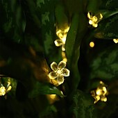 economico Striscie luci ad energia solare-Luci a stringa di fiori di ciliegio solari da 5 m, luci a stringa di Natale impermeabili da 20 LED, luci da giardino bianche calde/rgb/blu per l&#039;illuminazione notturna esterna di Natale