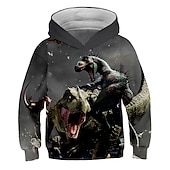 billiga Pojkens 3D-djur-Pojkar 3D Grafisk 3D-utskrift Huvtröja och sweatshirt Pullover Långärmad 3D-tryck Aktiv Streetwear Barn Småbarn 3-12 år