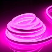 abordables Lampes néon led-Guirlande lumineuse LED en néon 5 m 16,4 pi, 12 V, flexible, étanche IP65, en silicone, idéale pour la chambre, la cuisine, la décoration intérieure/extérieure (adaptateur secteur non inclus)