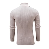 preiswerte Herrenpullover-Herren Rollkragenpulli Pullover Strickpullover Rollkragenpullover für Herren Gerippt Gedrehtes Stricken Retro Stilvoll Farbblock Rollkragen Perlenbesetzter Saum Pullover Täglich Festtage Bekleidung