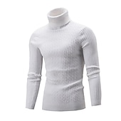 preiswerte Herrenpullover-Herren Rollkragenpulli Pullover Strickpullover Rollkragenpullover für Herren Gerippt Gedrehtes Stricken Retro Stilvoll Farbblock Rollkragen Perlenbesetzter Saum Pullover Täglich Festtage Bekleidung