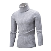 preiswerte Herrenpullover-Herren Rollkragenpulli Pullover Strickpullover Rollkragenpullover für Herren Gerippt Gedrehtes Stricken Retro Stilvoll Farbblock Rollkragen Perlenbesetzter Saum Pullover Täglich Festtage Bekleidung