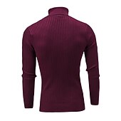 preiswerte Herrenpullover-Herren Rollkragenpulli Pullover Strickpullover Rollkragenpullover für Herren Gerippt Gedrehtes Stricken Retro Stilvoll Farbblock Rollkragen Perlenbesetzter Saum Pullover Täglich Festtage Bekleidung