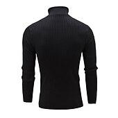 preiswerte Herrenpullover-Herren Rollkragenpulli Pullover Strickpullover Rollkragenpullover für Herren Gerippt Gedrehtes Stricken Retro Stilvoll Farbblock Rollkragen Perlenbesetzter Saum Pullover Täglich Festtage Bekleidung