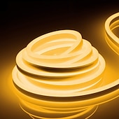 abordables Lampes néon led-Guirlande lumineuse LED en néon 5 m 16,4 pi, 12 V, flexible, étanche IP65, en silicone, idéale pour la chambre, la cuisine, la décoration intérieure/extérieure (adaptateur secteur non inclus)