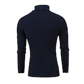 preiswerte Herrenpullover-Herren Rollkragenpulli Pullover Strickpullover Rollkragenpullover für Herren Gerippt Gedrehtes Stricken Retro Stilvoll Farbblock Rollkragen Perlenbesetzter Saum Pullover Täglich Festtage Bekleidung