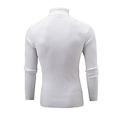 preiswerte Herrenpullover-Herren Rollkragenpulli Pullover Strickpullover Rollkragenpullover für Herren Gerippt Gedrehtes Stricken Retro Stilvoll Farbblock Rollkragen Perlenbesetzter Saum Pullover Täglich Festtage Bekleidung