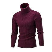 preiswerte Herrenpullover-Herren Rollkragenpulli Pullover Strickpullover Rollkragenpullover für Herren Gerippt Gedrehtes Stricken Retro Stilvoll Farbblock Rollkragen Perlenbesetzter Saum Pullover Täglich Festtage Bekleidung