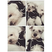 お買い得  パジャマ-犬 パジャマ 子犬の服 カジュアル 普段着 冬 犬服