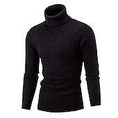 preiswerte Herrenpullover-Herren Rollkragenpulli Pullover Strickpullover Rollkragenpullover für Herren Gerippt Gedrehtes Stricken Retro Stilvoll Farbblock Rollkragen Perlenbesetzter Saum Pullover Täglich Festtage Bekleidung