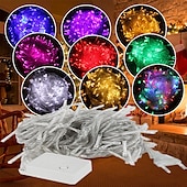 preiswerte Stecker Lichterketten-st. Patrick&#039;s Day Lights 10m flexible LED-Lichtleisten Lichtsets Lichterketten 100 LEDs 1pc warmweiß weiß rot Weihnachten Neujahr wasserdicht Party dekorativ 220-240 V 110-120 V