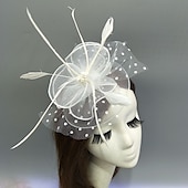 preiswerte Faszinator-Fascinators Kentucky Derby Hut Kopfbedeckung Federn Netz Fischerhut Hochzeit besonderer Anlass Damentag Melbourne Cup Cocktail mit Federn Rüschen Kopfbedeckung Kopfbedeckung
