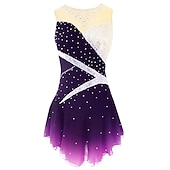 levne Šaty na krasobruslení-Šaty na bruslení Dámské Dívčí Buz Pateni Šaty Úbory Fialová Tmavě červená Prašná růže Spandex Lehce elastické Trénink Bruslařské oblečení Klasický Křišťál a napodobenina Bez rukávů Bruslen