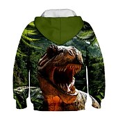 cheap Boy&#039;s 3D Animals-Kids Boys Girls Hoodie Pullover Cat Dinosaur Animal 3D Print Long Sleeve Kid Top Casual 2-12 Years Winter White Red Blue