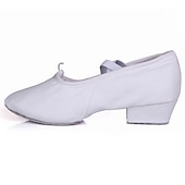 preiswerte Ballettschuhe-Damen Balletschuhe Schuhe für den lateinamerikanischen Tanz Ballsaal Praxis Schuhe Ausbildung Praxis 2022 Niedriger Absatz Gummiband Slipper Weiß Schwarz Rosa