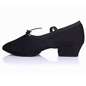 preiswerte Ballettschuhe-Damen Balletschuhe Schuhe für den lateinamerikanischen Tanz Ballsaal Praxis Schuhe Ausbildung Praxis 2022 Niedriger Absatz Gummiband Slipper Weiß Schwarz Rosa