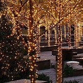 economico Striscie luci ad energia solare-Luci solari da esterno da 100 m con telecomando, 800 LED, 8 modalità, dimmerazione&amp;amp;timer, luci da giardino di Natale impermeabili in bianco caldo, bianco&amp;amp; blu