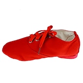 cheap Jazz Shoes-Men&#039;s Jazz Shoes Practice Trainning Dance Shoes Stage Performance Flat Sneaker Flat Heel Lace-up White Black Red