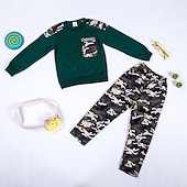 billiga Kläder för pojkar-Pojkar 3D Färgblock Mönster Kamuflasje Sweatshirt &amp; Sweatpants Set Byxset Klädesset Långärmad Grundläggande Ledigt Småbarn 3-12 år Skola Utomhussport Smal