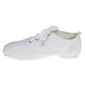 cheap Jazz Shoes-Men&#039;s Jazz Shoes Practice Trainning Dance Shoes Stage Performance Flat Sneaker Flat Heel Lace-up White Black Red